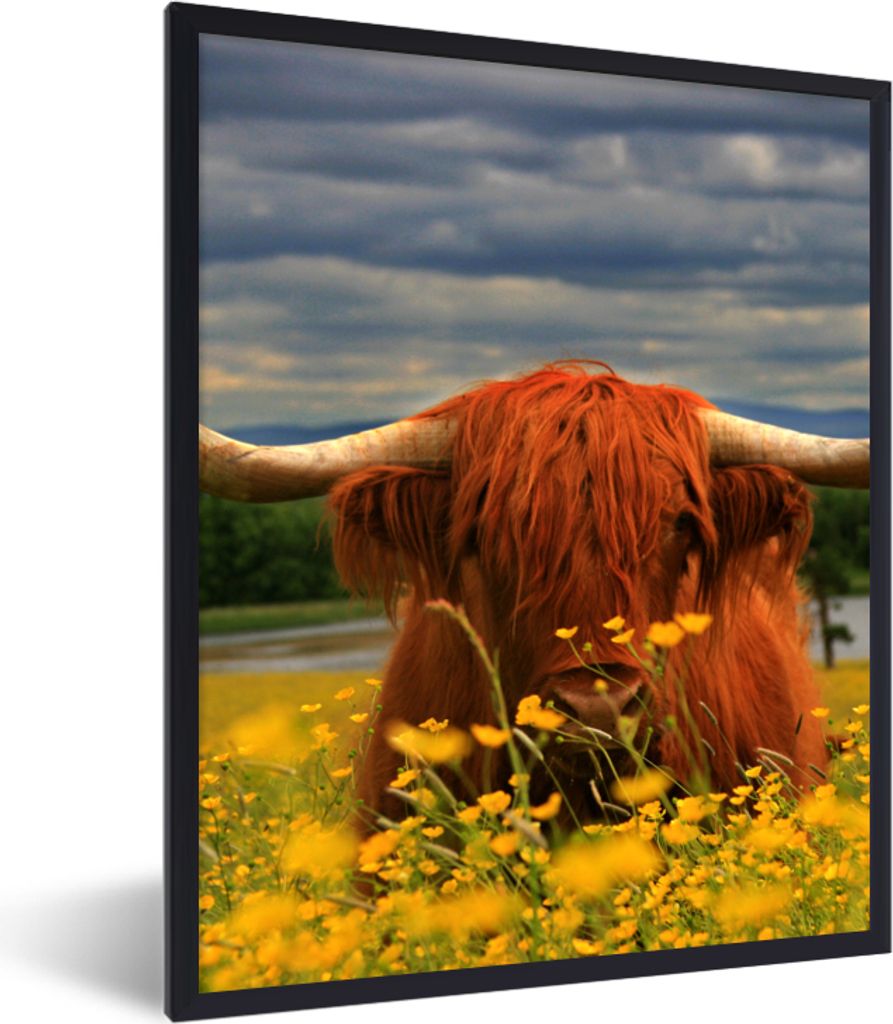 MuchoWow Gerahmtes Poster Schottischer Highlander - Tiere - Blumen 30x40 cm - Poster mit Schwarzem Bilderrahmen Wandposter Rahmen Foto Bilder - W...