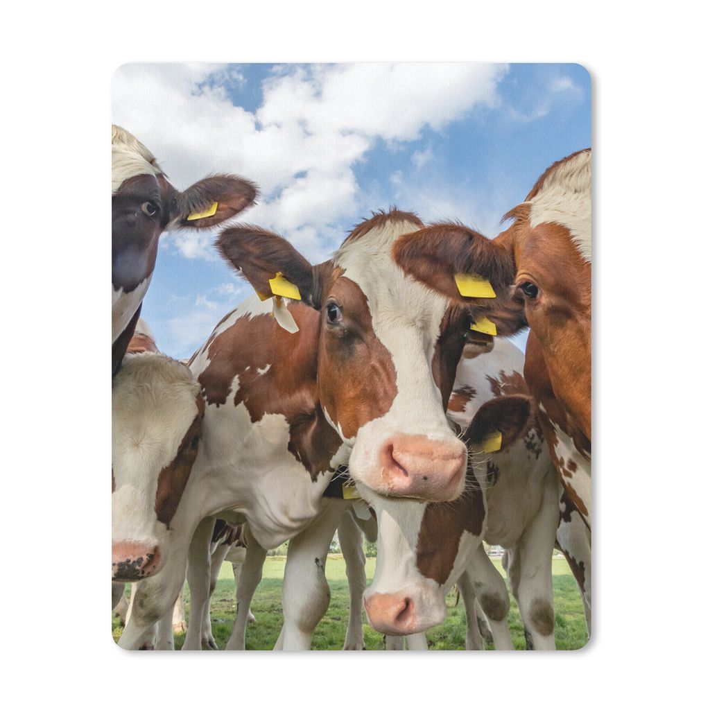 MuchoWow Mauspad Mousepad Kühe - Tiere - Wiese - Natur 19x23 cm - Mousepads - Maus Mat - Pad - Mausunterlage - Mauspads - Spielen