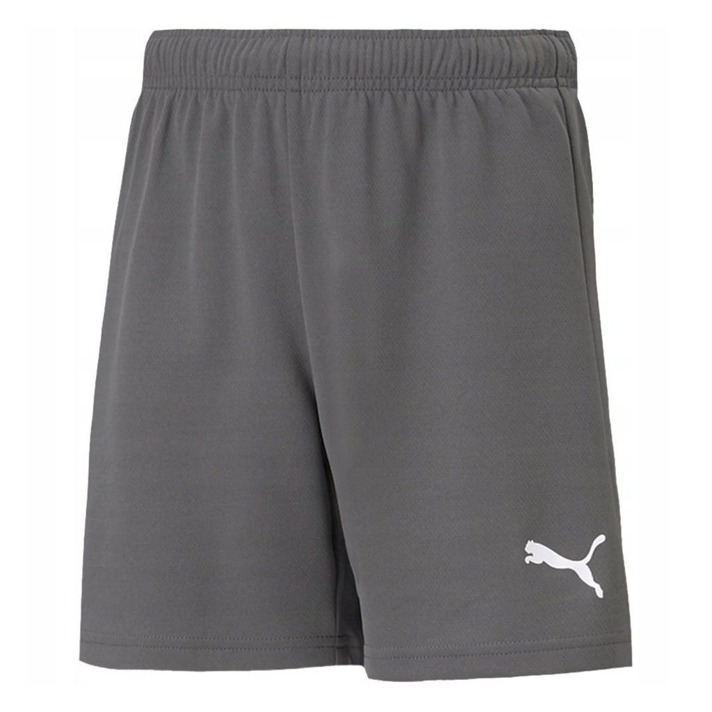 PUMA teamRISE Trainingsshorts Kinder smoked pearl/puma white 116