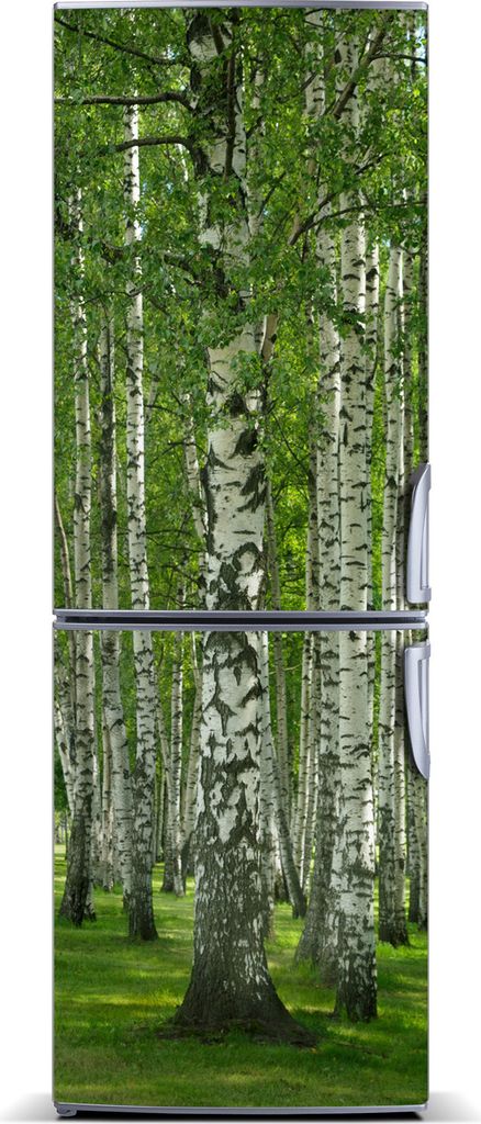 Tulup Kühlschrankdekoration - Magnetmatte - 70 cm x 190 cm - Magnet auf dem Kühlschrank - Birkenwald