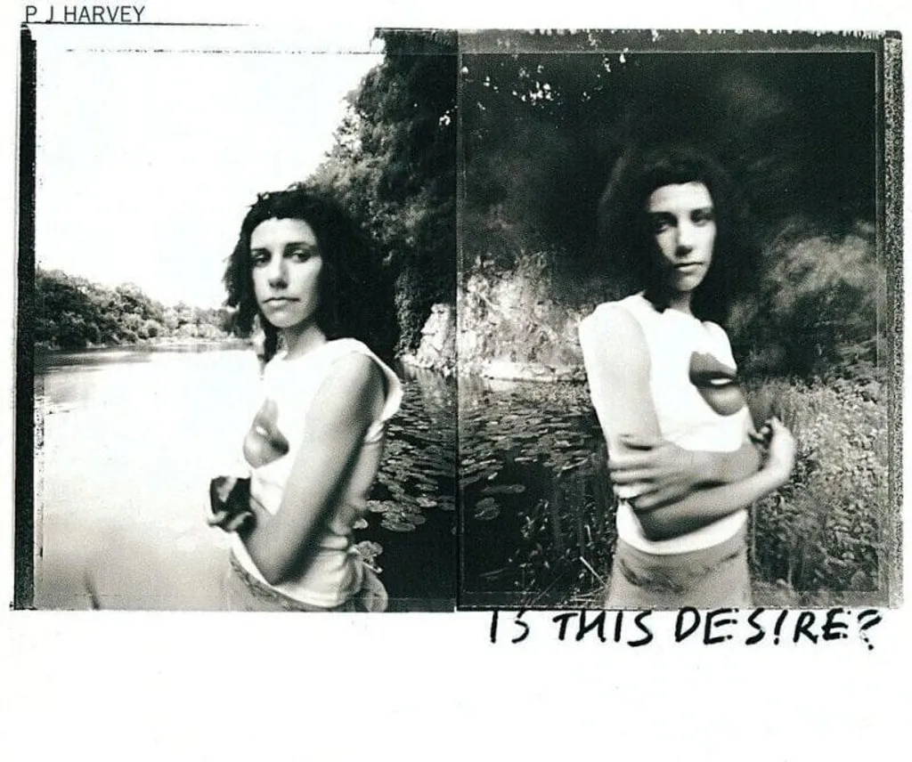 Album PJ Harvey Is This Desire? Vinyle LP à Écouter sur Platine Hifi