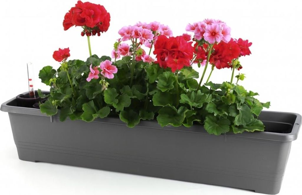 Blumenkasten Balkon 80 cm Balkonkasten mit Halterung Produktbild 