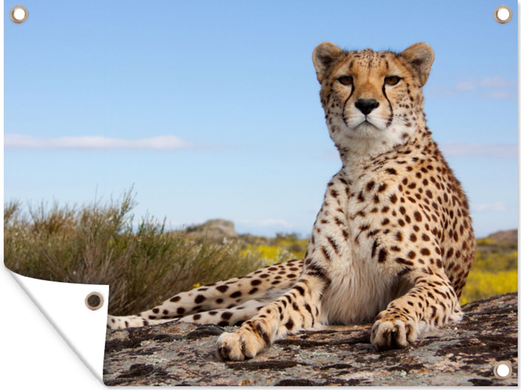 MuchoWow 40x30 cm Outdoor-Poster Gartendeko Sichtschutz Garten Poster für den Garten Leopard - Tiere - Natur