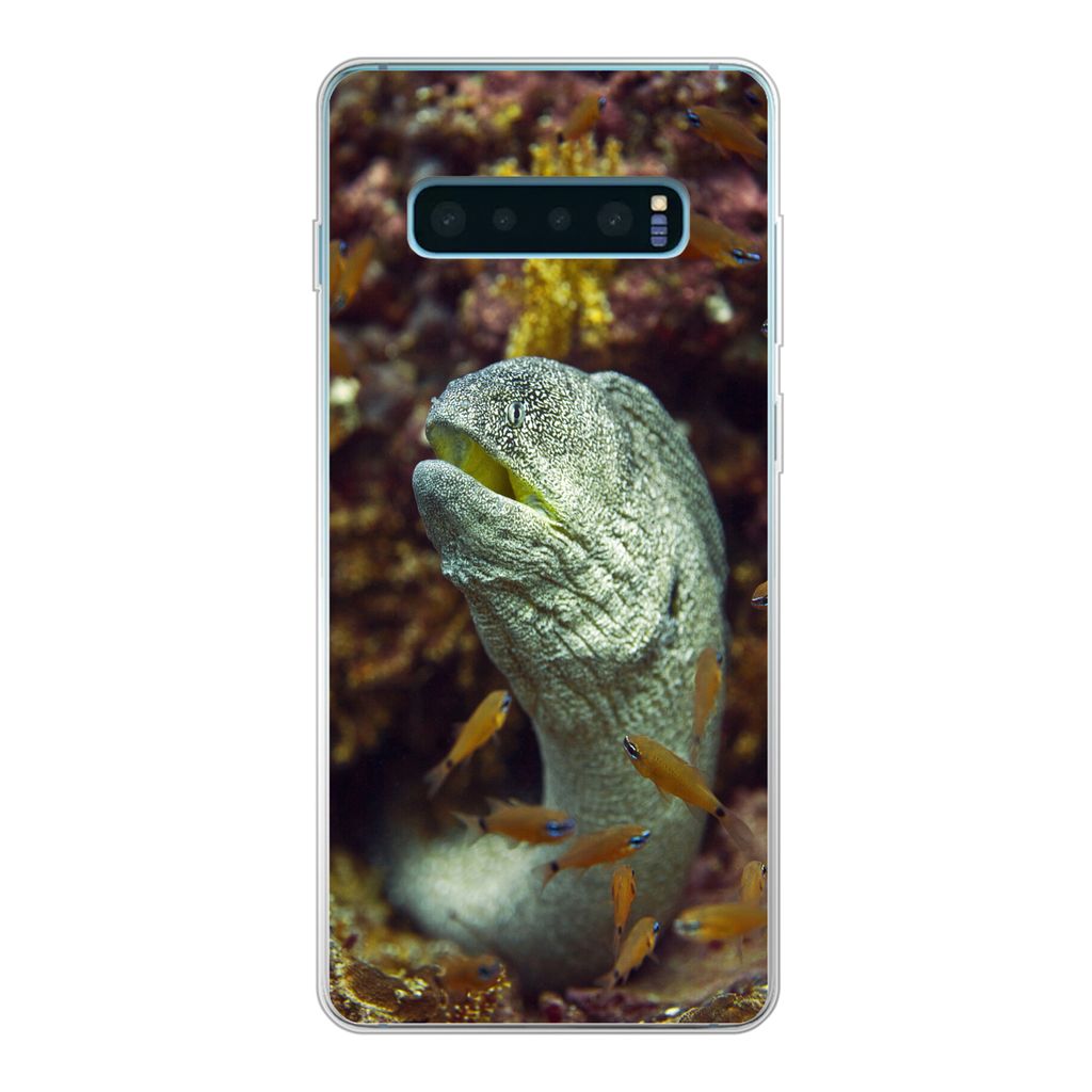 MuchoWow Handyhülle Schutzhülle Hülle für Samsung Galaxy S10 Plus Fische - Korallen - Ozean Silikon Softcase Handy Hülle - Schutzhülle
