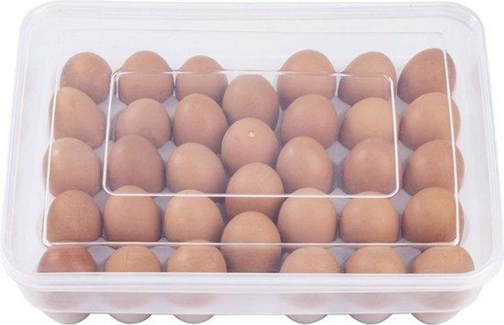 Grosse Kunststoff-Eierbox für den Kühlschrank - mit Deckel - für 34 Eier