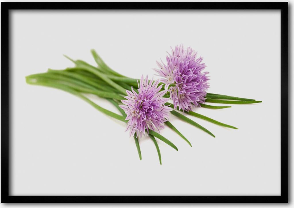 Bild 70x50 MDF-Rahmen Wandkunst Blumen Pflanzen Natur