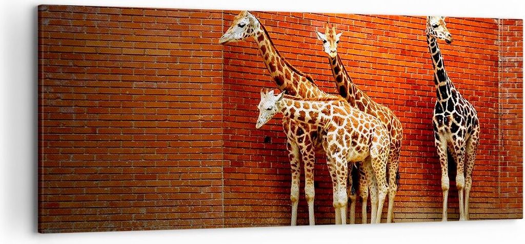 Bild auf Leinwand - Leinwandbild - Tiere Giraffen Zoo Produktbild 
