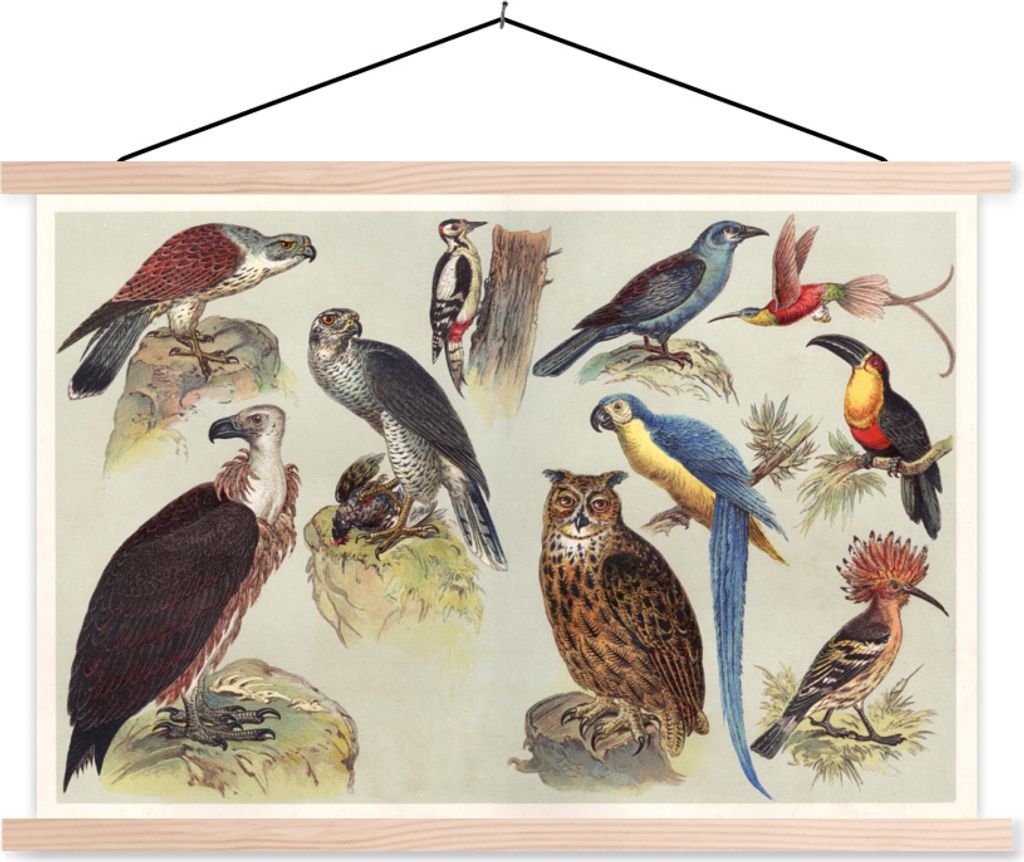 MuchoWow Textilposter Vogel - Vintage - Bleistift - Zeichnung 120x80 cm mit holzfarbenen Rahmen - Aufhängeset