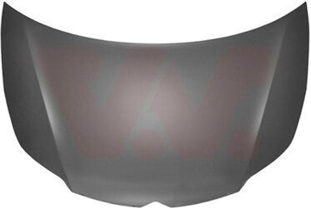 VAN WEZEL 0970670 Motorhaube