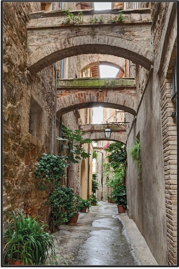 Wallario Wandbild Grüne italienische Gasse - mit alten Bögen, Größe: 61 x 91,50 cm, Poster mit schwarzem Aluminiumrahmen