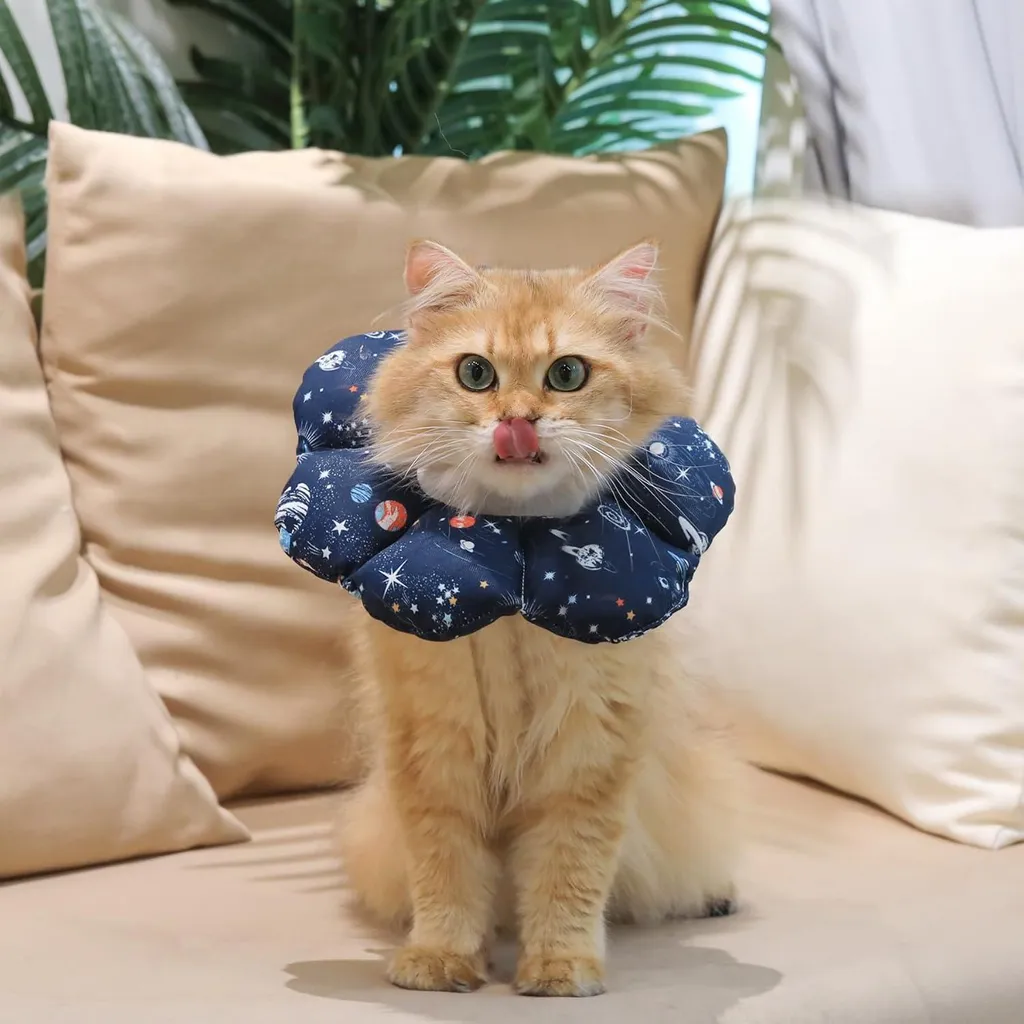 Petit collier chat ultra doux et ajustable - Confort S 14-22,8 cm