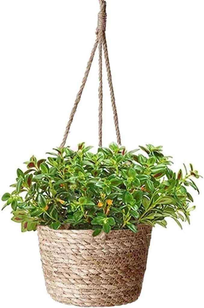 Suspension pour plantes en jonc de mer tressé - Cache-pot naturel Ø25