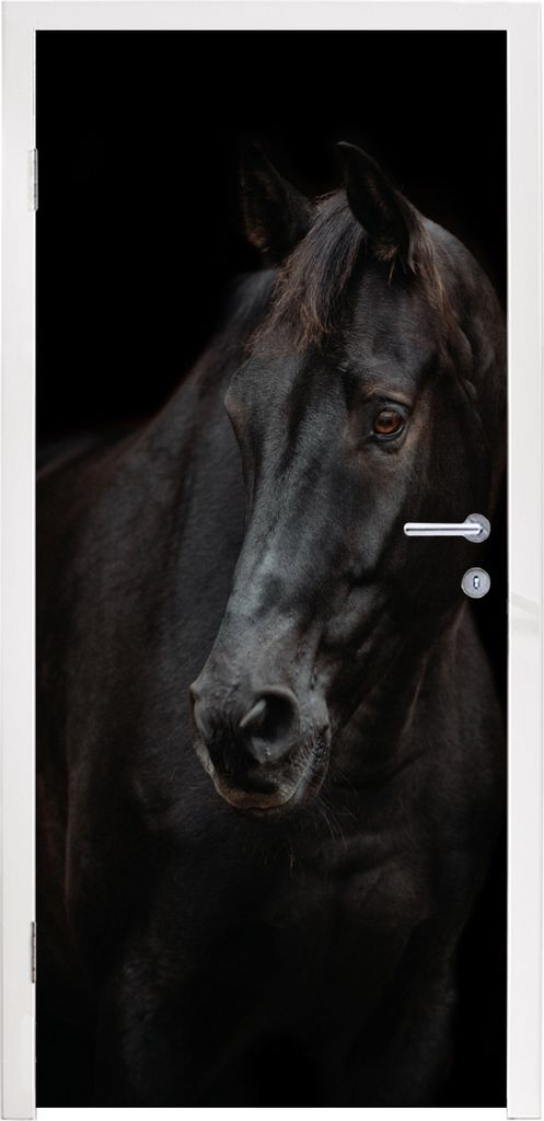 MuchoWow Türtapete Selbstklebende Türfolie Pferd - Leicht - Schwarz 95x215 cm Türposter Türaufkleber Klebefolie Türklebefolie - Tür Tapete ...