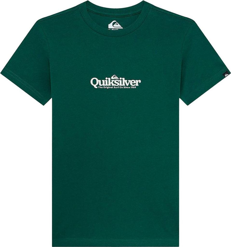 Quiksilver Fineline Kurzarm-t-shirt Grün XL Mann Grün XL