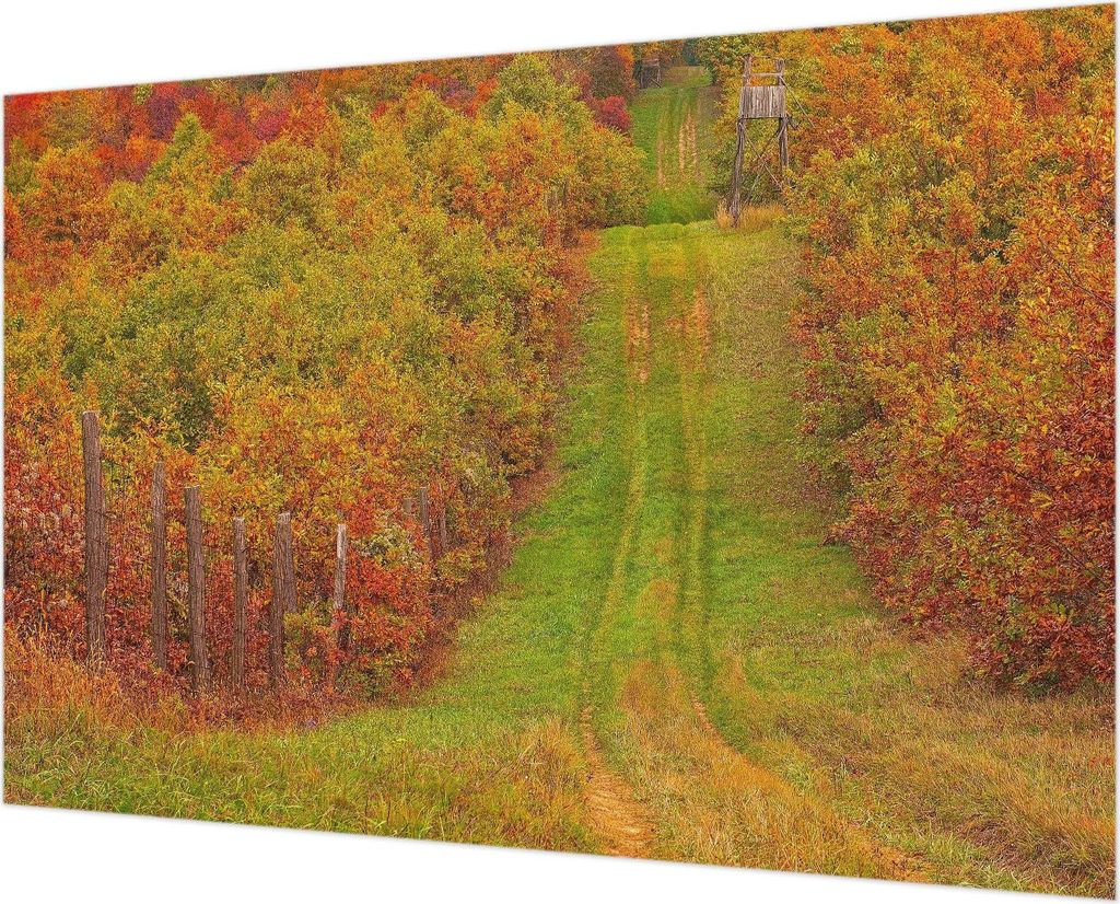 Wandtapete - Dekorative Tapete für Wohnzimmer - Tapetenfolie für Wanddekoration - 152x104 cm - Herbstfarben