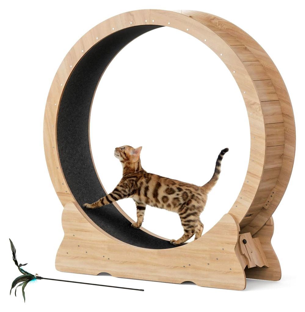 Katzenlaufrad für Indoor-Katzen, 110 cm Laufband mit abnehmbarem Teppichboden aus Holz für Katzen, Fitnessgerät zur Gewichtsreduktion für klein...