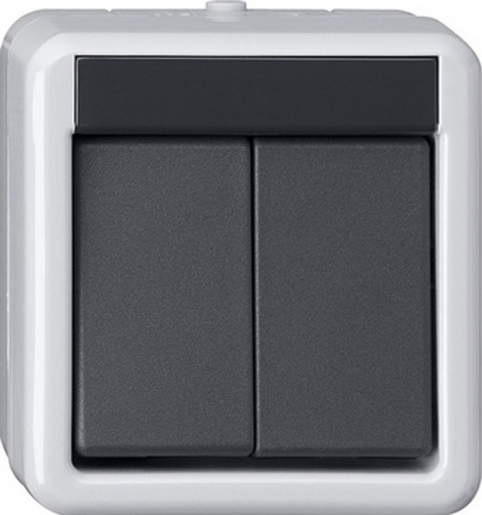 Gira KNX Taster BA 2fach grau AP 1Punkt 516130