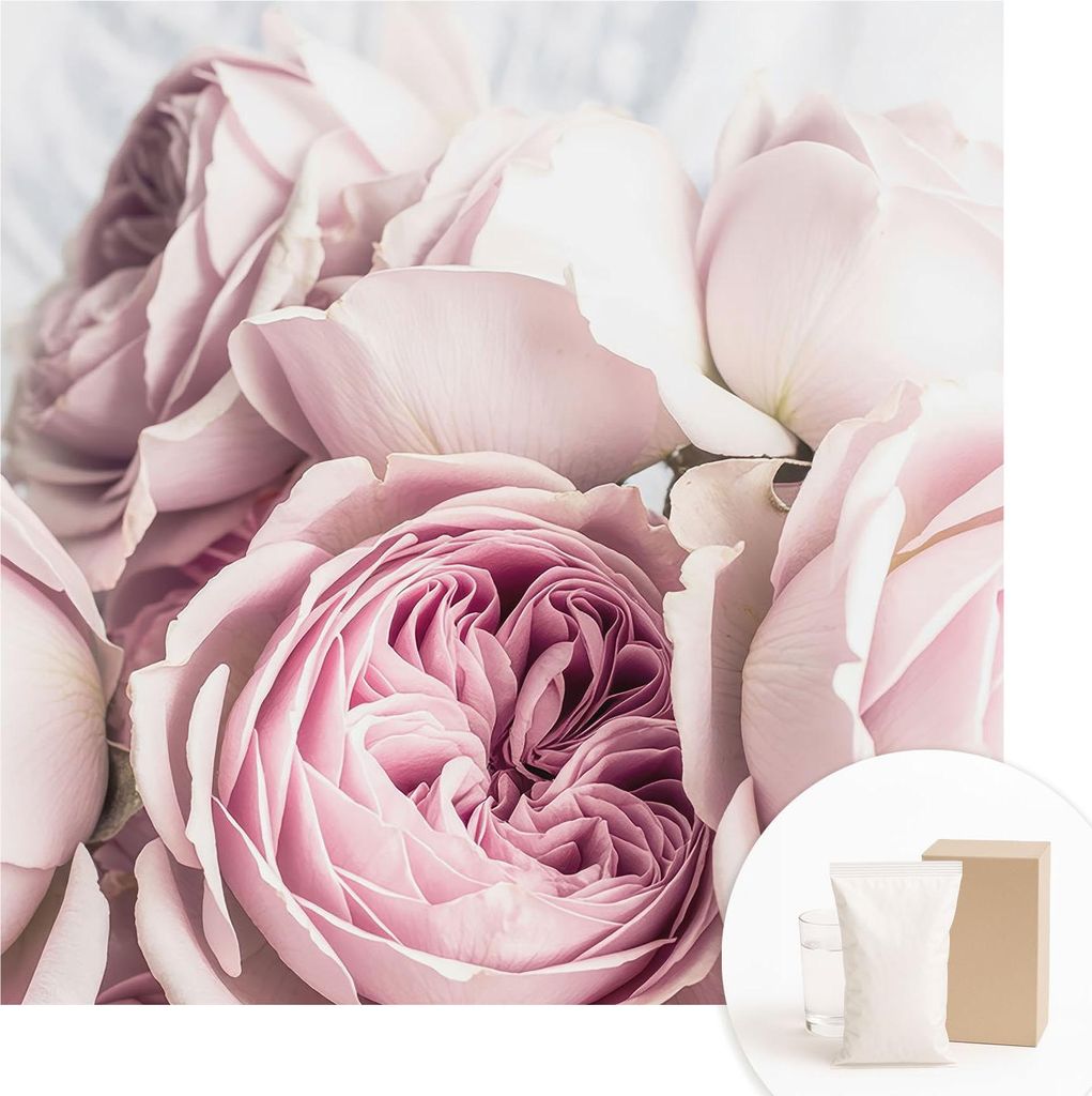 Fototapete - Wandbilder für Wohnzimmer - 250x250 cm - Dekorative Wandfolie - Modernes Design für Wanddekoration - Tapeten für Innenräume - Rosa...
