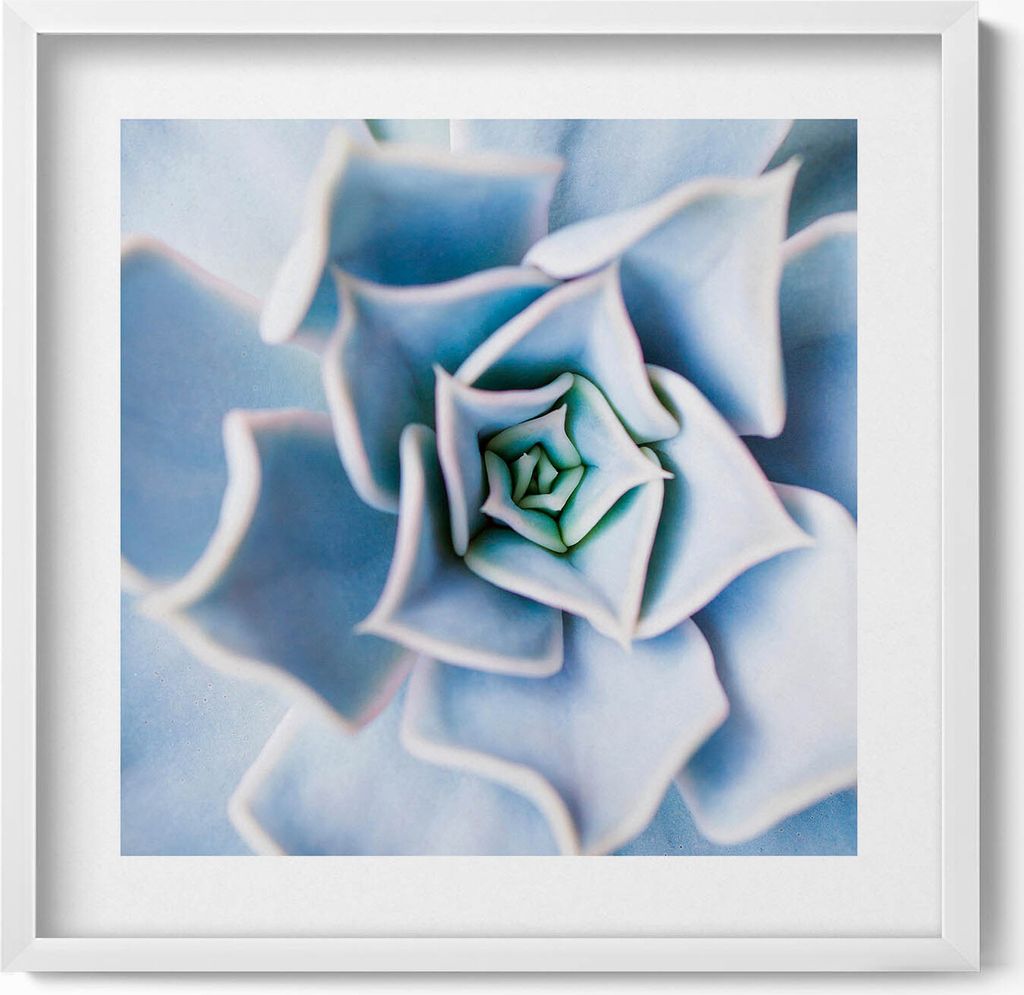 Blume– Wandbild mit Rahmen – Gerahmtes Bild – Wanddekoration – 50x50 cm – Weiß Rahmen