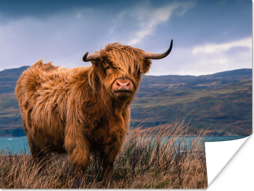 MuchoWow Poster Schottische Highlander - Himmel - Natur 40x30 cm - Plakate für die Wände - Poster Wohnzimmer