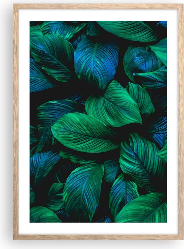 Gerahmtes Poster - Rahmen in heller Eiche - Blätter Pflanzen Exotik - 50x70 cm - Wand Bild - Wanddeko - Wandbilder - Kunstposter - Wandposter - Bi...