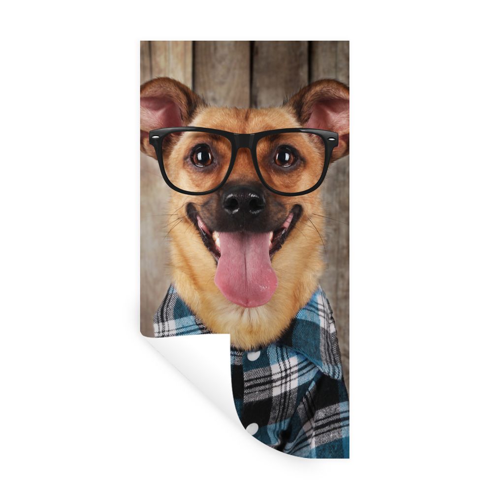 MuchoWow Wandtattoo Wandsticker Wandaufkleber Hund - Brille - Bluse - Hipster 60x120 cm Selbstklebend und Repositionierbar - Selbstklebend - Foto...