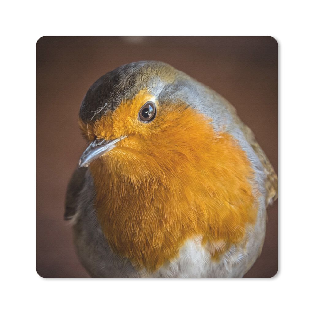 MuchoWow Mauspad Mousepad Rotkehlchen - Porträt - Vogel 20x20 cm - Mousepads - Maus Mat - Pad - Mausunterlage - Desk Mat - Bureauartikeln