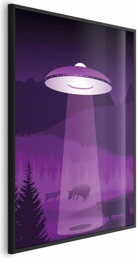Quadro UFO Design 60x90 cm - Cornice Nera Slim Senza Bordo Bianco