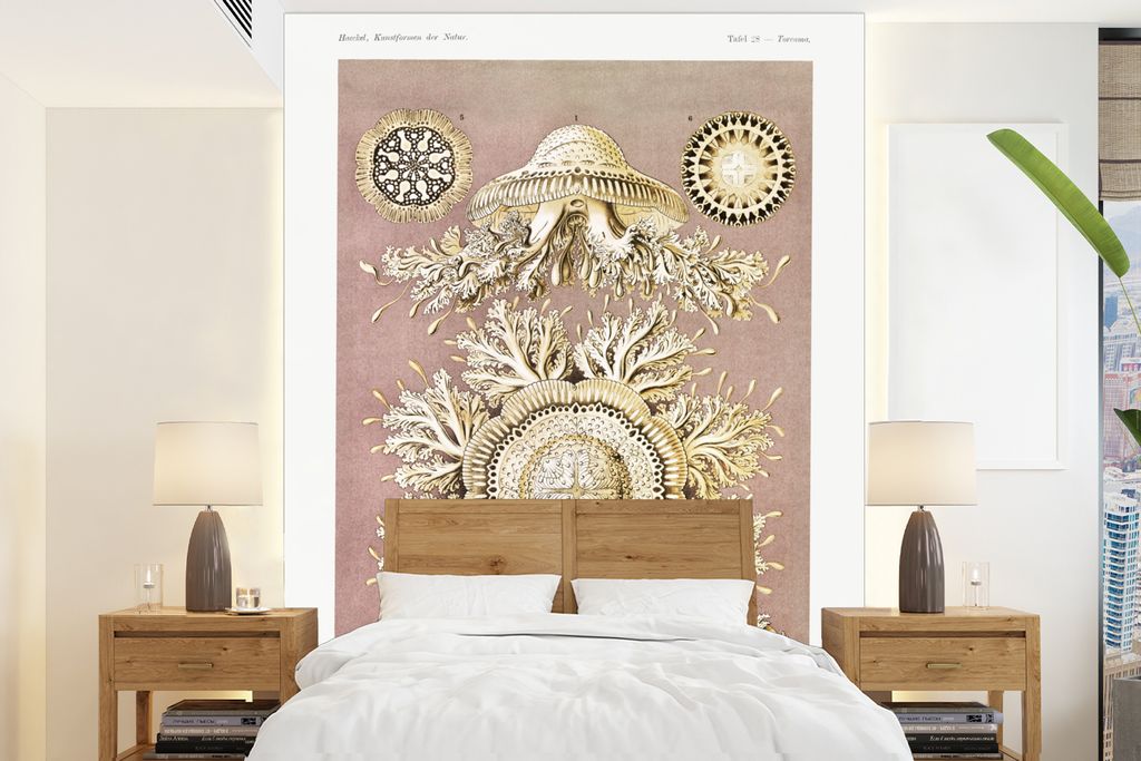 MuchoWow Fototapete für Wohnzimmer oder Schlafzimmer Wandtapete Vinyl Motivtapete Jahrgang - Ernst Haeckel - Qualle - Kunst - 195x260 cm - Wandbild