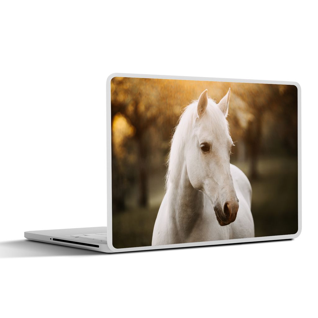 MuchoWow Laptop Aufkleber Sticker Cover Pferd - Sonne - Herbst - Tiere - Natur 36.5x27.5 cm - Laptop-Sticker