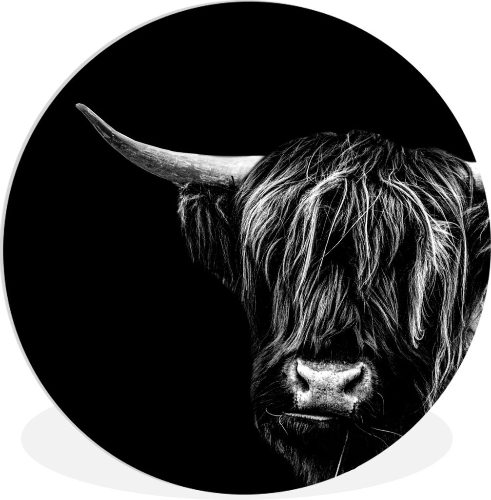 MuchoWow Rundes Wandbild - Runde Bilder Schottischer Highlander - Horn - Schwarz - Weiß Ø 60 cm Kreis Wanddekoration Kunststoff - Wandkreis - W...