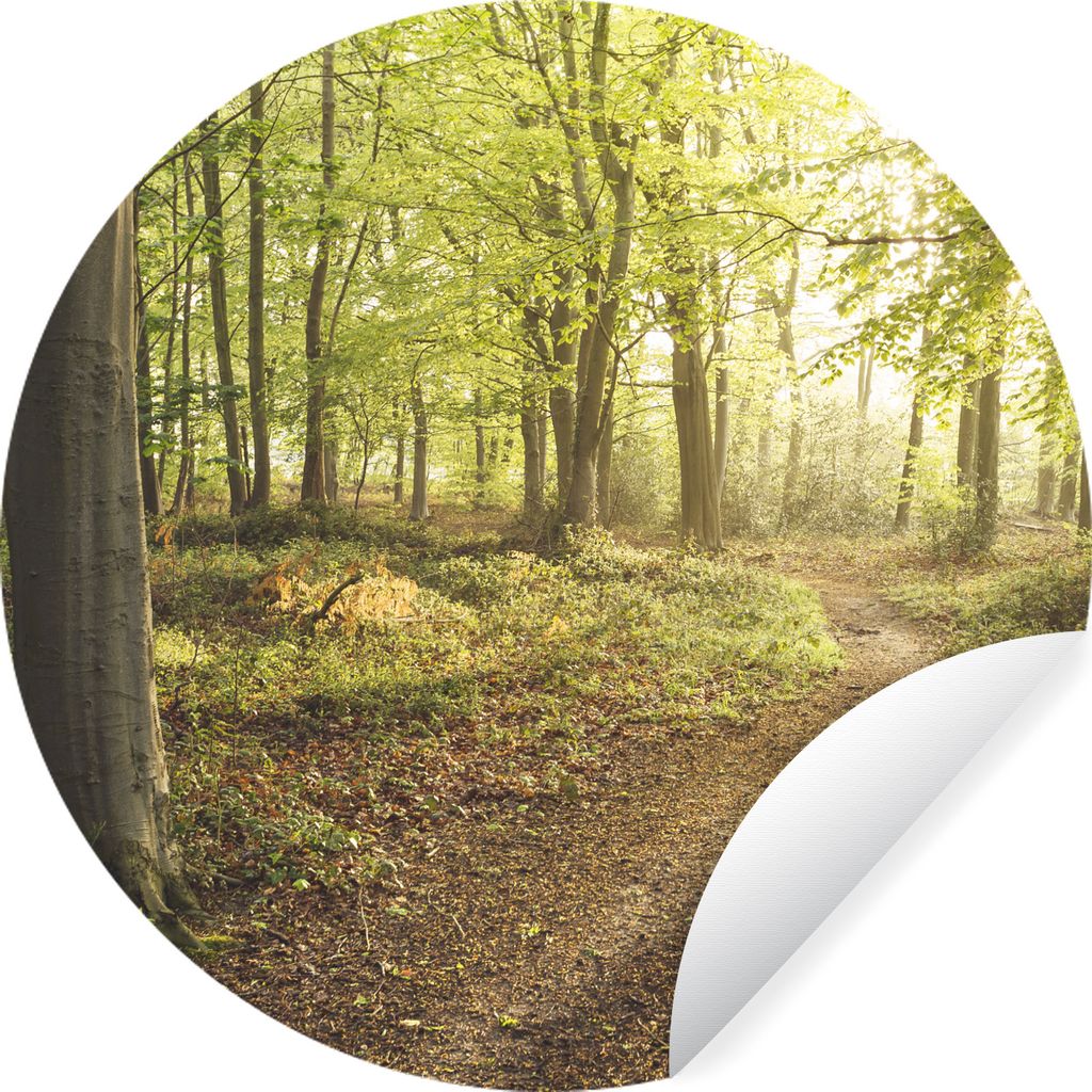 MuchoWow Runde Wandtattoo - Wandsticker Tapete Aufkleber Wald - Weg - Sonnenaufgang Ø 100 cm Selbstklebend und Repositionierbar - Wandaufkleber ...