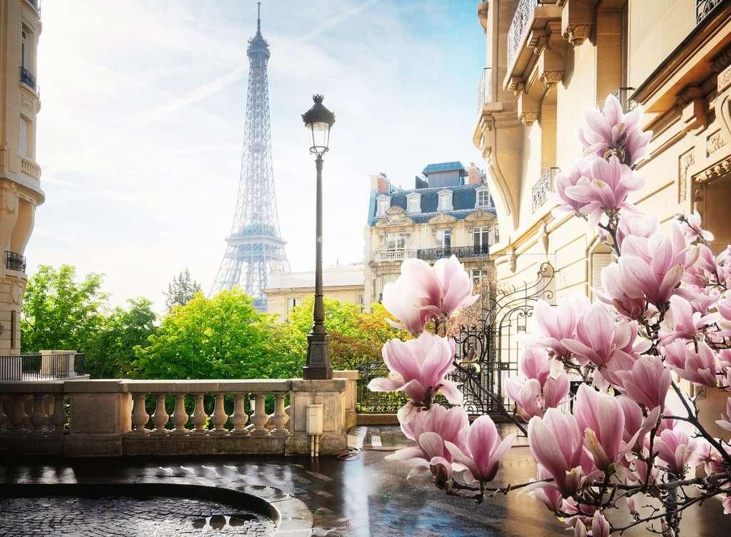 RAVENSBURGER Puzzle Paríž 500 dielikov Obrázok produktu 