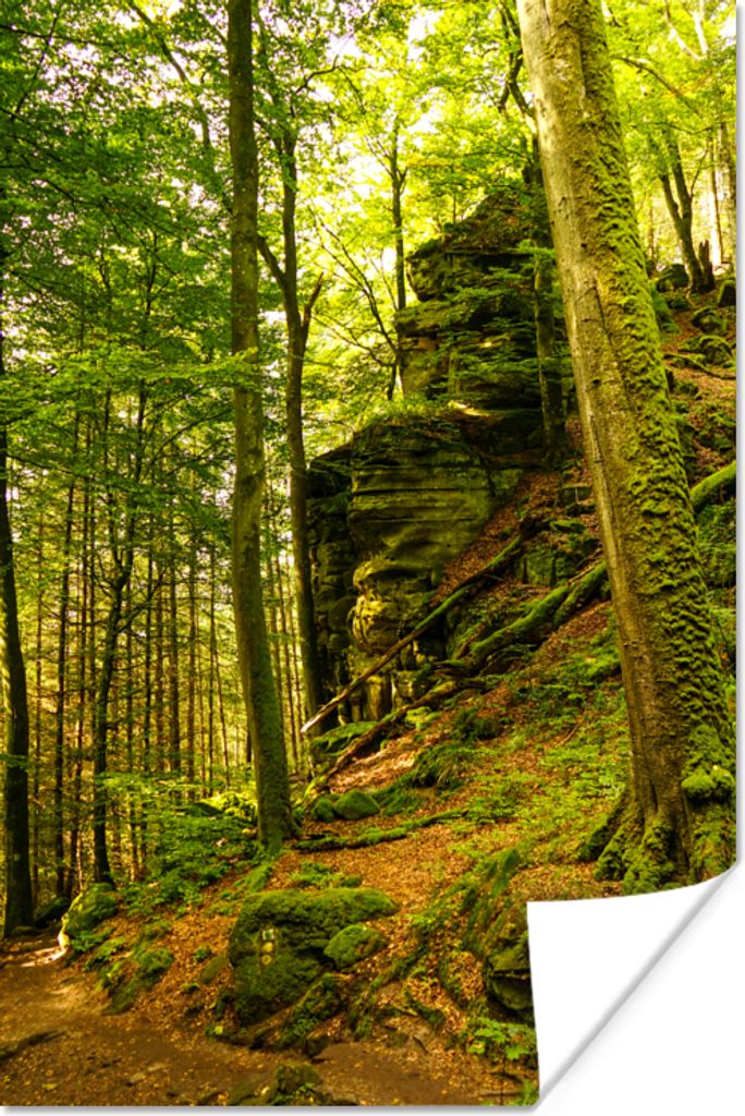 MuchoWow Poster Bäume - Stein - Wald - Natur - Pflanzen 40x60 cm - Plakate für die Wand - Poster Babyzimmer