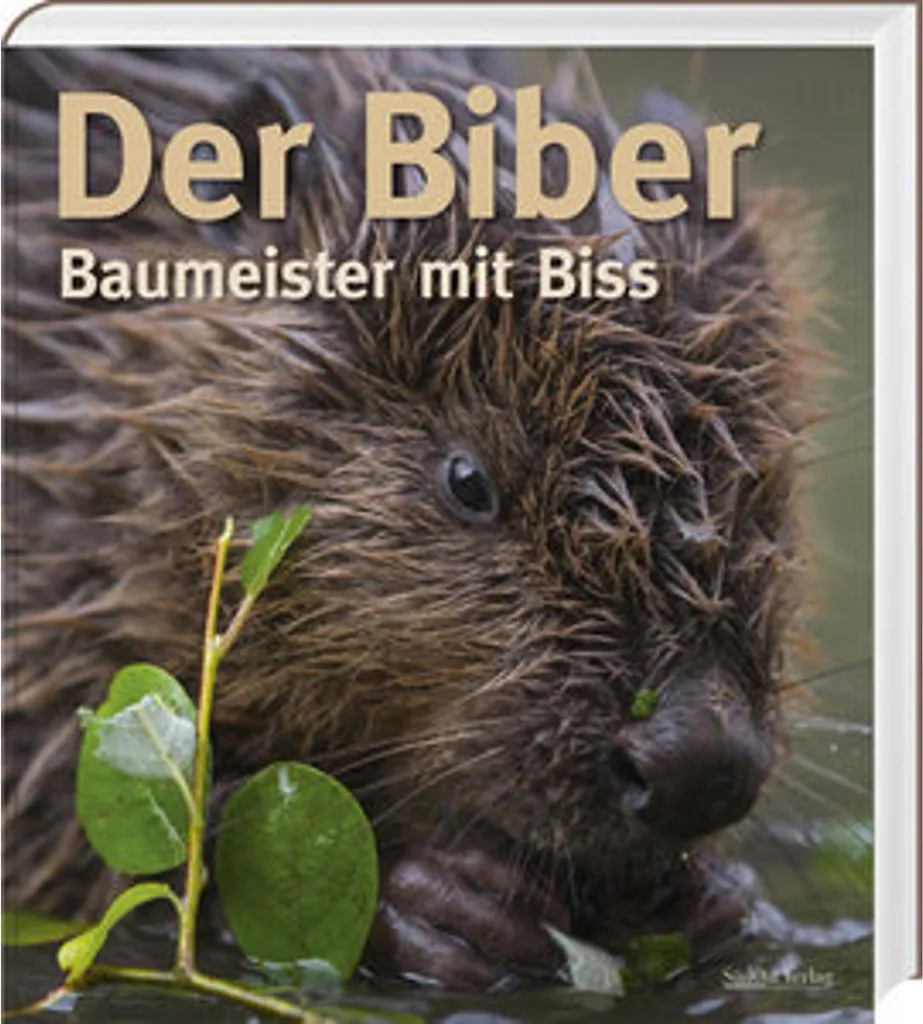 Livre sur le Castor et l'Écologie des Zones Humides : Guide Illustré