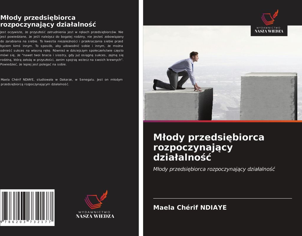 M¿ody przedsi¿biorca rozpoczynaj¿cy dzia¿alno¿¿