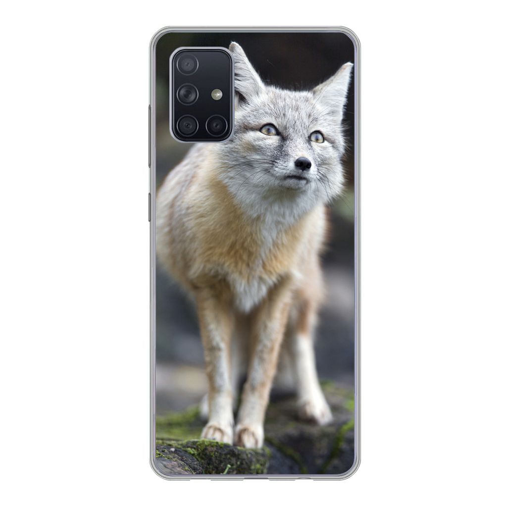 MuchoWow Handyhülle Schutzhülle Hülle für Samsung Galaxy A51 5G Fuchs - Makro - Baum Silikon Softcase Handy Hülle - Abbildung