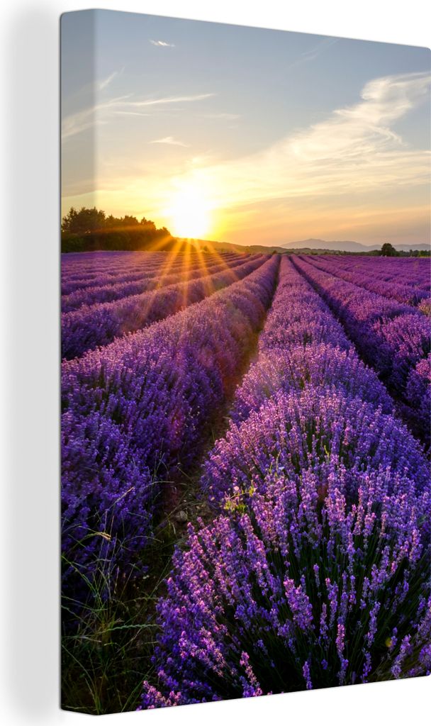 OneMillionCanvasses - Leinwandbilder - 90x140 cm, Lavendel - Blumen - Sonnenuntergang - Lila, Wandbilder Kunstdruck Wanddekoration - Foto auf Lei...