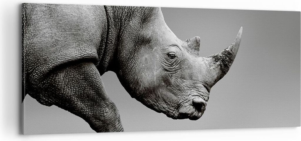 Bild auf Leinwand - Leinwandbild - Einteilig - Nashorn Monochrom Tier - 100x40cm - Wand Bild - Wanddeko - Wandbilder - Leinwanddruck - Bilder - Wan...