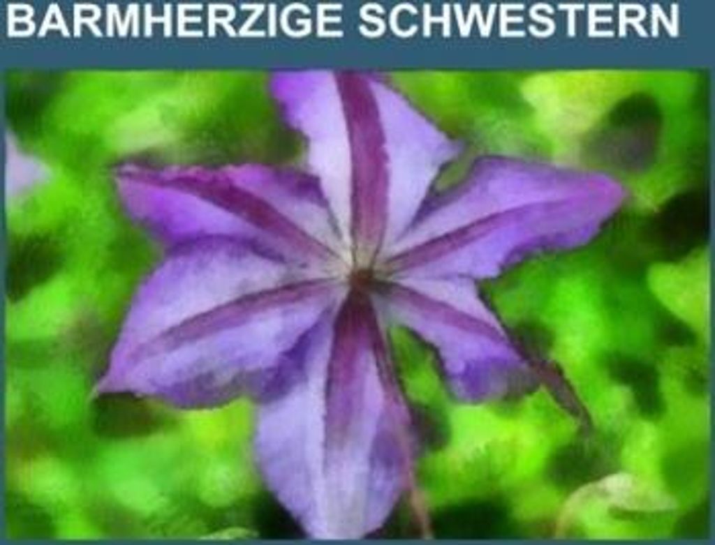 Barmherzige Schwestern
