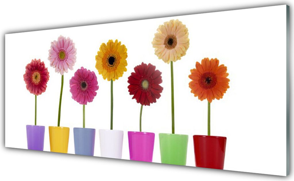 Acrylglasbilder 125x50 Wandbild Druck Blumen Pflanzen