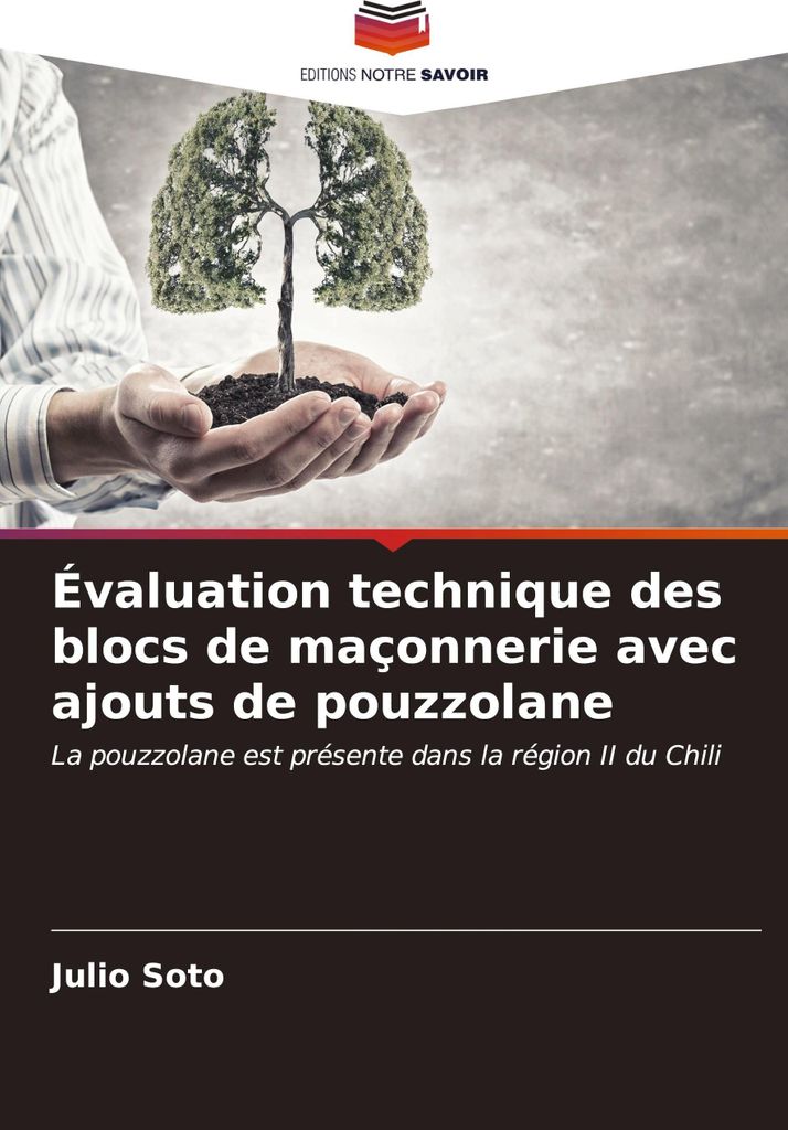 Évaluation technique des blocs de maçonnerie avec ajouts de pouzzolane