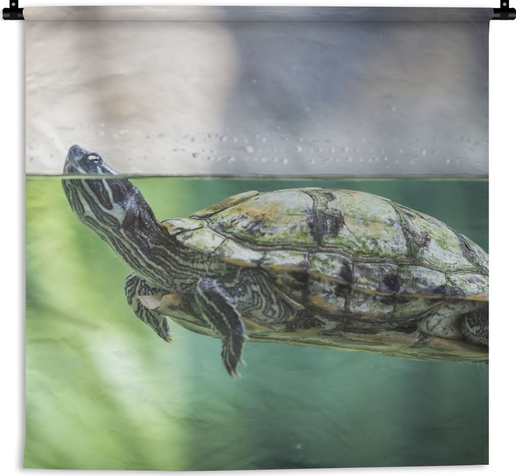 MuchoWow Wandteppich Wandbehang Nahaufnahme einer Schildkröte 120x120 cm Tapisserie Dekoration Wandtuch - Modern - Baumwollgewebe