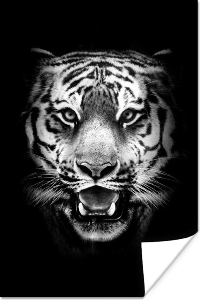MuchoWow Poster Tigerkopf vor schwarzem Hintergrund - schwarz und weiß 40x60 cm - Plakate für die Wand - Poster Babyzimmer