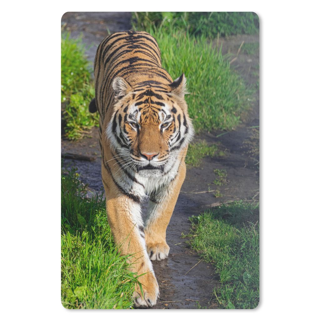 MuchoWow Mauspad Mousepad Tiger - Gras - Tiere 18x27 cm - Mousepads - Maus Mat - Pad - Mausunterlage