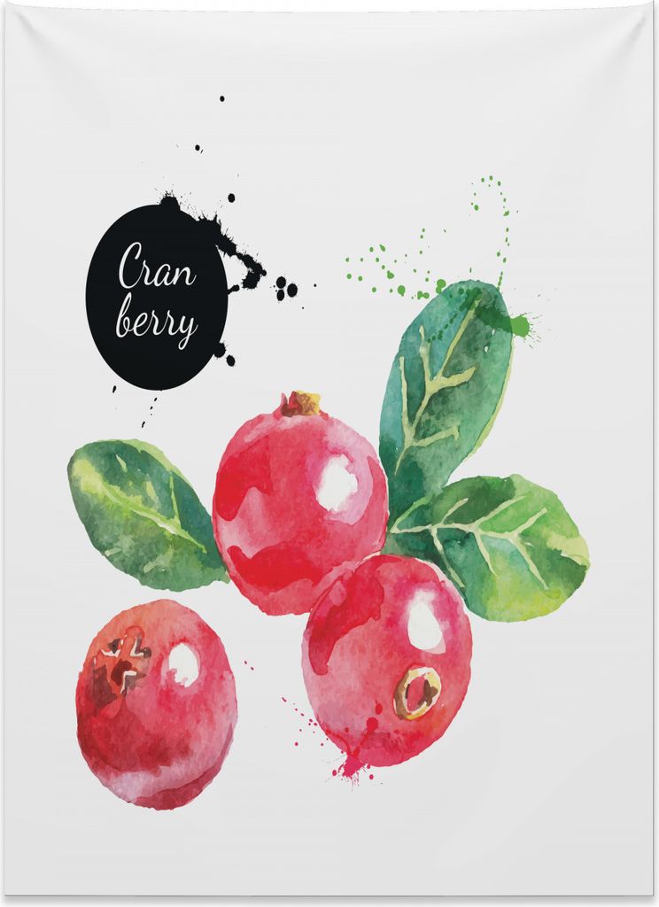 Abakuhaus Obst Wandteppich, Aquarell Cranberries aus Weiches Mikrofaser Stoff Kein Verblassen Klare Farben Waschbar, 110 x 150 cm, Dunkle Koralle S...