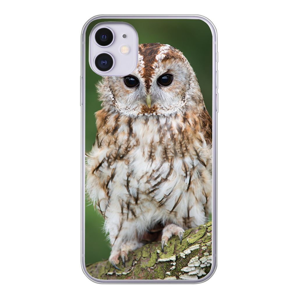 MuchoWow Handyhülle Schutzhülle Hülle für iPhone 11 Braune Eule sitzt auf einem Baum Silikon Softcase Handy Hülle - Handytasche