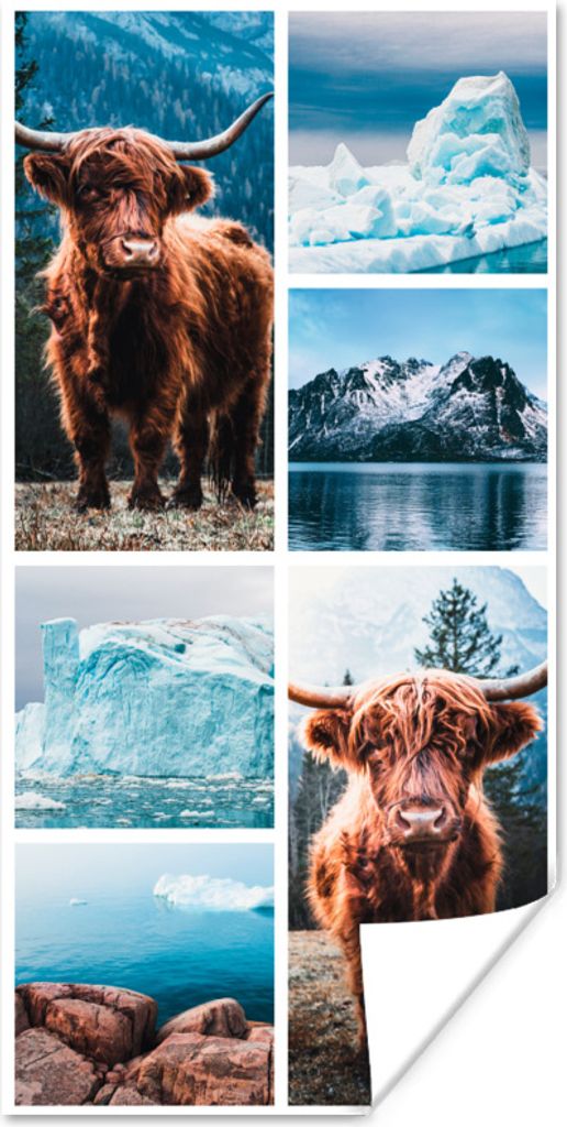 MuchoWow Poster Schottischer Highlander - Eiscreme - Collage 60x120 cm - Wandschmuck