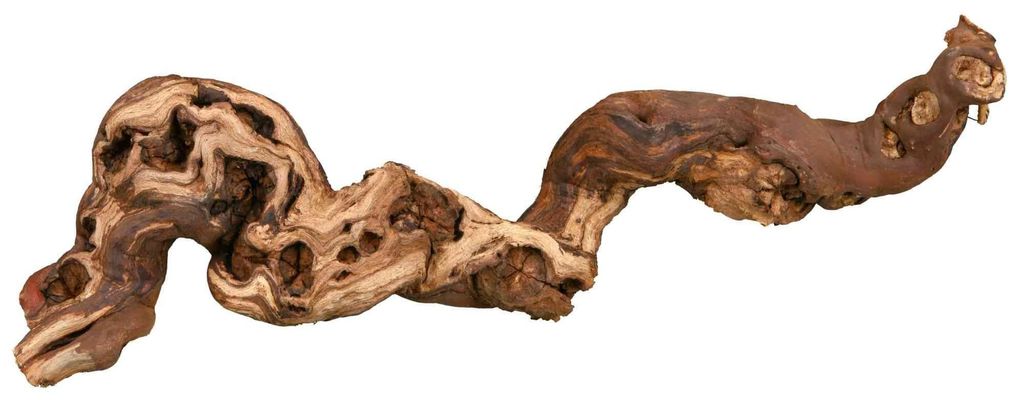 Trixie Decorazione per terrario naturale, ramo di vite M Immagine del prodotto 