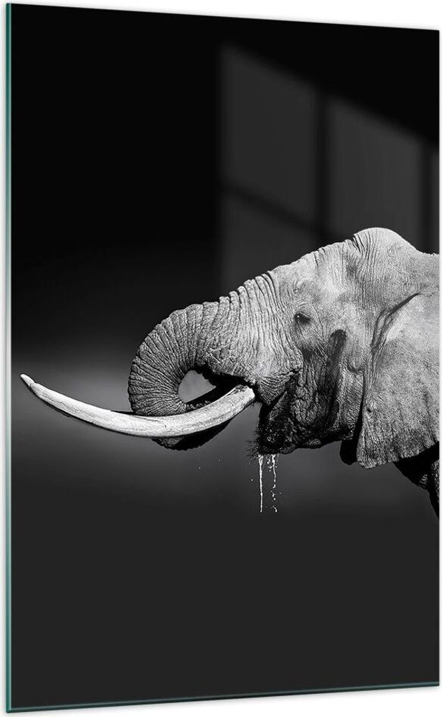 Bilder auf glas - Einteilig - Elefant Stoßzahn Natur - 70x100cm - Glasbilder - Wandbilder - Bilder - zum Aufhängen bereit - Wanddekoration aus Gl...